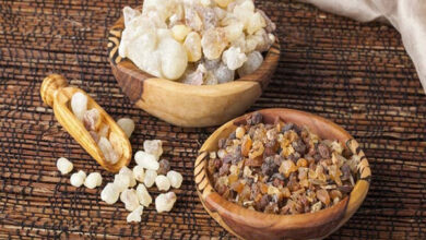 تصحیح یک باور مبهم ؛ آیا باعث افزایش هوش و حافظه می شود؟