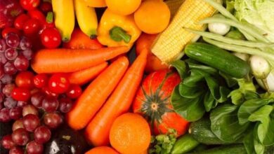 سخت گیری سازمان غذا و دارو در کنترل محصولات تراریخته - آژانس خبری مهر | اخبار ایران و جهان