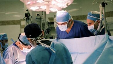 اهدای نجات جان چهار بیمار - آژانس خبری مهر | اخبار ایران و جهان