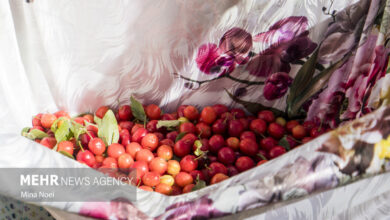 میوه های کوچک با قدرت شگفت انگیز برای سلامت بدن