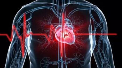 یک روش ساده برای محافظت از سلامت زنان مسن - آژانس خبری مهر | اخبار ایرانی و جهانی