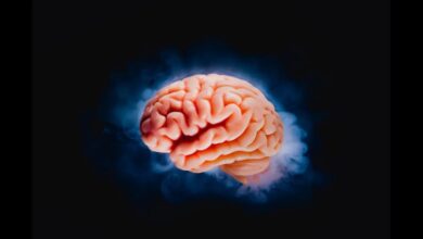 نقش کلسترول در عملکرد مغز چیست؟