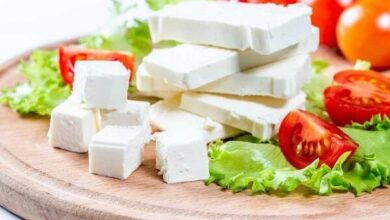 خوردن پنیر در صبحانه ؛ مفید یا مضر؟