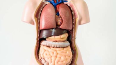 نادرترین بیماری هایی که باعث مرگ می شوند