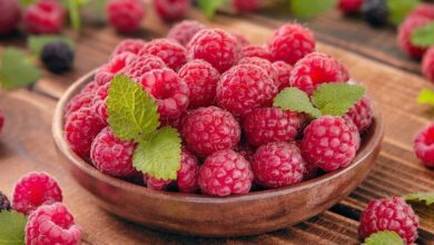 این یک قهرمان کوچک سلامتی شد