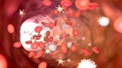 کاوید می تواند باعث پیری زودرس رگ های خونی شود - آژانس خبری مهر | اخبار ایرانی و جهانی