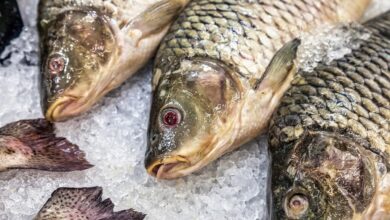 آیا می توان سنگهای کیسه صفرا را دفع کرد؟