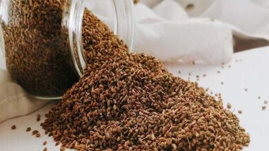 زن خواص ، مزایا و فواید درمانی این گیاه / خواص شگفت انگیز برای باریک و معده