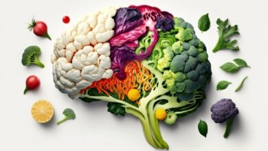 با مواد مغذی مفید برای تقویت مغز آشنا شوید