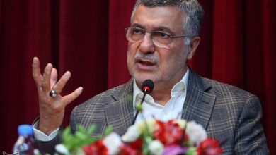 اضافه شدن 6 هزار تخت بیمارستانی جدید در کشور/ 700 خانه بهداشت احداث میشود