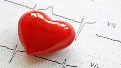 حفظ سلامت قلب در گرمای تابستان ضروری است - آژانس خبری مهر | اخبار ایرانی و جهانی