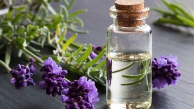 داروهای گیاهی می‌توانند عارضه داشته باشند/ منع مصرف داروهای گیاهی در زنان باردار