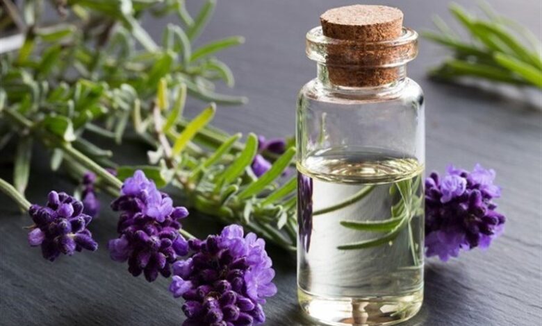 داروهای گیاهی میتوانند عارضه داشته باشند/ منع مصرف داروهای گیاهی در زنان باردار