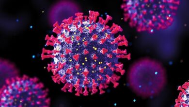 روش‌های انتقال ویروس HPV/ تزریق واکسن به معنی مصونیت کامل نیست