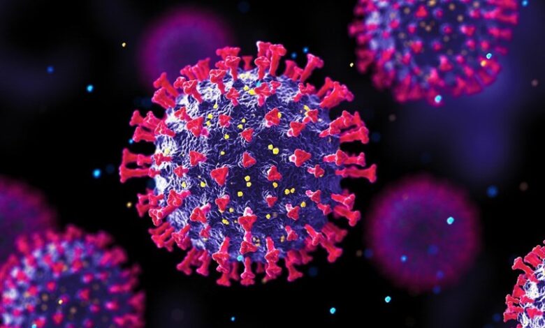 روشهای انتقال ویروس HPV/ تزریق واکسن به معنی مصونیت کامل نیست