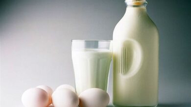 مصرف زرده تخم‌مرغ خام با شیر ولرم باعث تقویت سیستم ایمنی بدن می‌شود؟