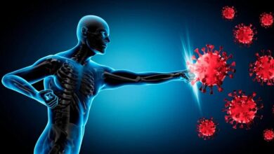 غذای جادویی اِی برای تقویت سیستم ایمنی بدن