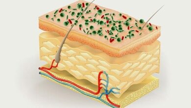 میکروب هایی که به سلامت پوست/ افشای برخی از محصولات مراقبت از پوست کمک می کنند