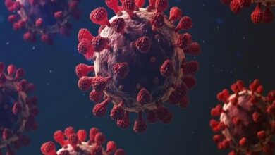 هشدار وزارت بهداشت در مورد بیماریهای تنفسی متداول در پاییز - آژانس خبری مهر | اخبار ایرانی و جهانی