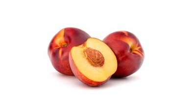 خواص و خواص در طب سنتی - مرجع طب سنتی