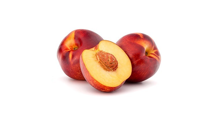 خواص و خواص در طب سنتی - مرجع طب سنتی