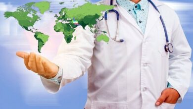 رشد منفی تعداد گردشگران در سال‌جاری/ هدف گذاری جذب گردشگر از روسیه و چین