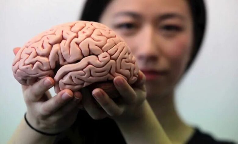 این ماده مغز را پیر می کند