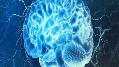 گفتاردرم درمانی ساختار مغز را تغییر می دهد - خبرگزاری مهر | اخبار ایرانی و جهانی