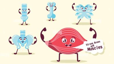 بدن ورزشی چیست؟/ معاینه علمی تأثیر ورزش بر روی اندامهای حیاتی ؛ از راه رفتن تا خنده و مراقبه