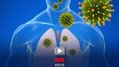 هشدار پاییز ، ویروس های تنفسی در راه