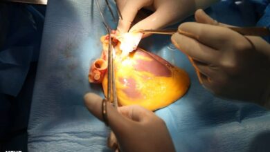 سوء مصرف مواد مخدر وابسته به ذینفعان و مسافران - آژانس خبری مهر | اخبار ایرانی و جهانی