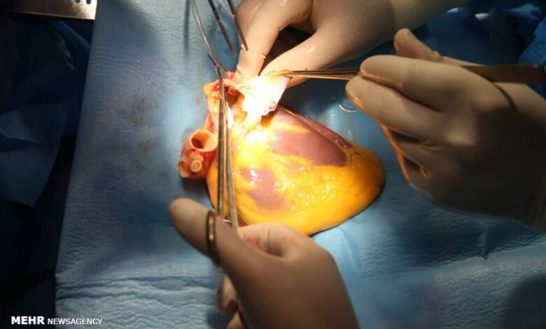 سوء مصرف مواد مخدر وابسته به ذینفعان و مسافران - آژانس خبری مهر | اخبار ایرانی و جهانی