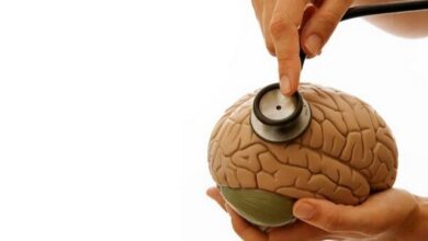 اهمیت آموزش و آگاهی عمومی در سلامت روانی - آژانس خبری مهر | اخبار ایرانی و جهانی