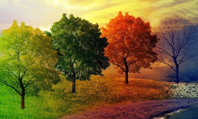 نسخه طبیعت برای تغییر فصل و تأثیر آن بر سلامتی روح و بدن