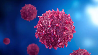 یونان 2 مورد از نیل وست و 2 مرگ را گزارش داد - آژانس خبری مهر | اخبار ایرانی و جهانی