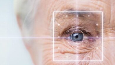 درک مشکلات چشم سالمندان - آژانس خبری مهر | اخبار ایرانی و جهانی