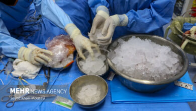 بیماران نباید قربانی کمبود مواد مخدر شوند - آژانس خبری مهر | اخبار ایرانی و جهانی