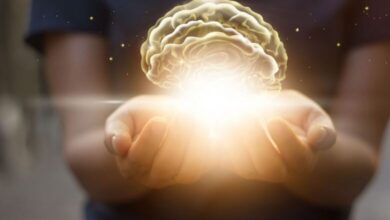 یک معجزه خوشمزه برای حافظه ، دیابت و سرطان