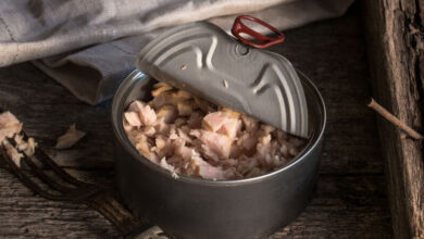 با انگیزه ترین گزینه در بین ماهی کنسرو ؛ گزارشی از یک آزمایشگاه معتبر/ ماهی بزرگتر ، خطرناک تر! چرا باید به دنبال ماهی های کوچکتر باشیم؟