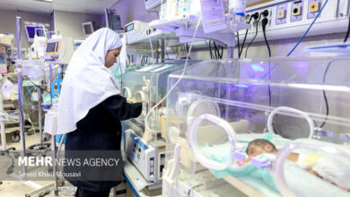 پرستاری 5 سال پیش رد می شود - آژانس خبری مهر | اخبار ایرانی و جهانی