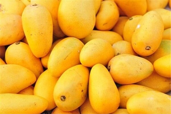 میوه های گرمسیری با خواص منحصر به فرد برای بدن