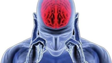 یک دستورالعمل ویژه برای سلامت مغز و تقویت تمرکز