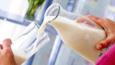 نکات کلیدی در انتخاب شیر ؛ چه شیر برای شما مناسب تر است؟/ انواع شیر را بدانید