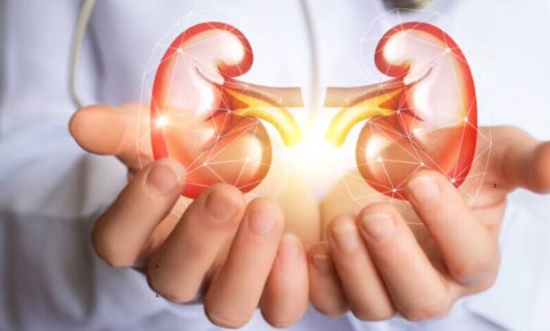 علائم بیماری کلیه شما باید جدی بگیرید