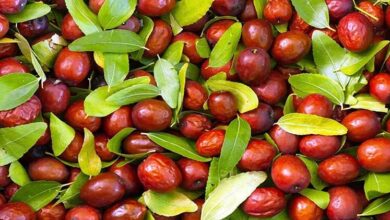 خواص شگفت انگیز این غذا ؛ از پایین آمدن کلسترول تا تقویت پوست