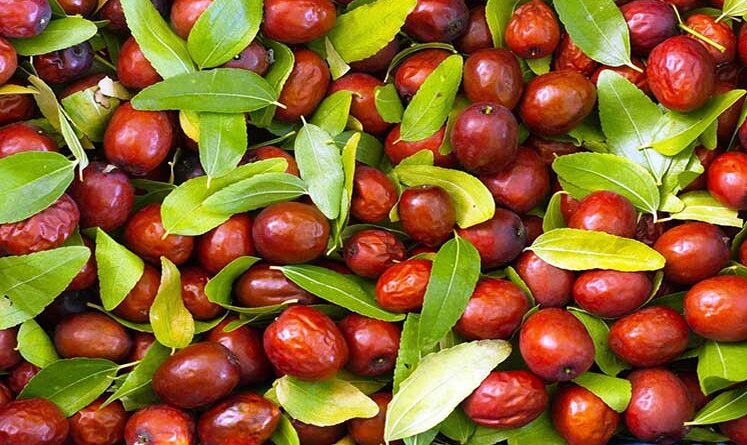 خواص شگفت انگیز این غذا ؛ از پایین آمدن کلسترول تا تقویت پوست