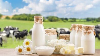 آیا چربی شیر است؟ - اخبار آنلاین