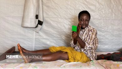 میمون آبله در آفریقا از 6000 نفر فراتر رفت - آژانس خبری مهر | اخبار ایرانی و جهانی