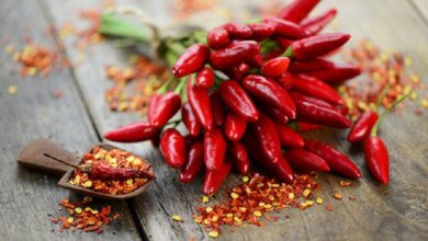 این غذا عمر شما را به 5 سال افزایش می دهد!