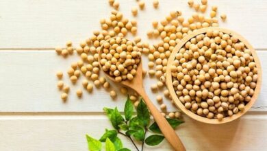 انصین انی ۵ ۵ ۵